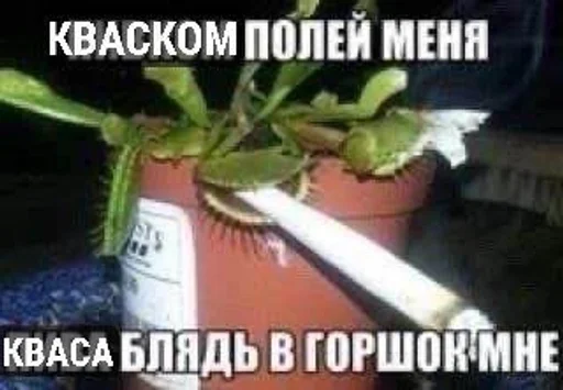 🌟 Стикер «Єблан» для Telegram