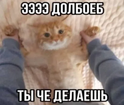 🌟 Стикер «Єблан» для Telegram