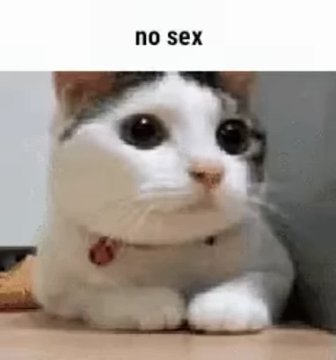 🌟 Стикер «eblankstickeri» для Telegram