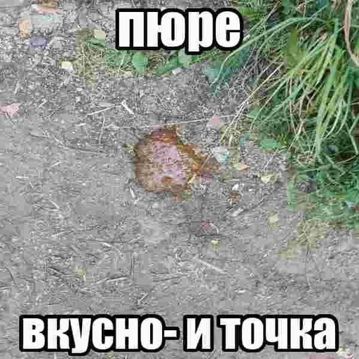 ❤️ Стикер «скелеты любимки» для Telegram