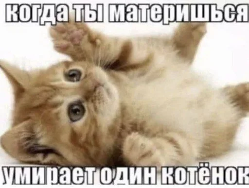 ❤️ Стикер «скелеты любимки» для Telegram