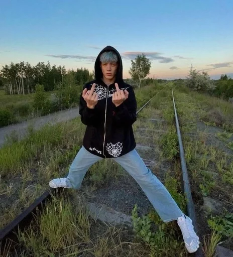 🖕 Стикер «twitchcouples» для Telegram