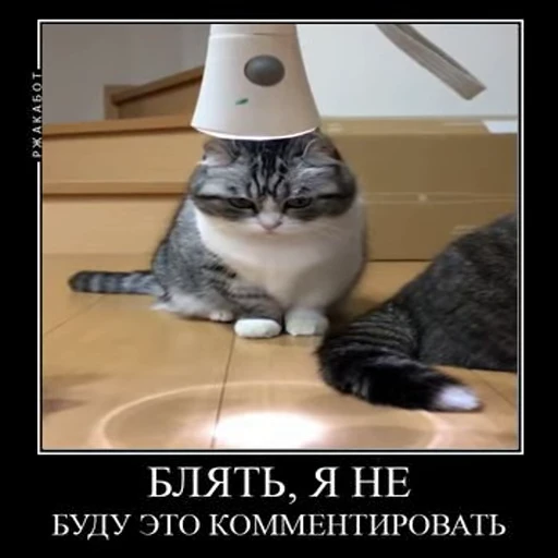 😾 Стикер «Ебучий кот» для Telegram