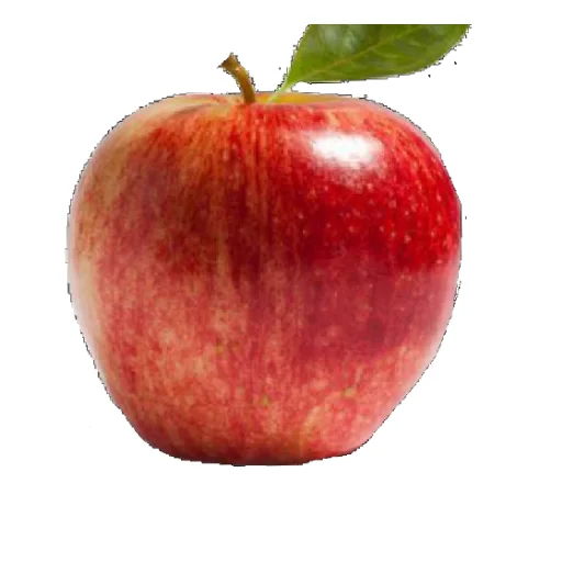 🍎 Стикер «Еда» для Telegram