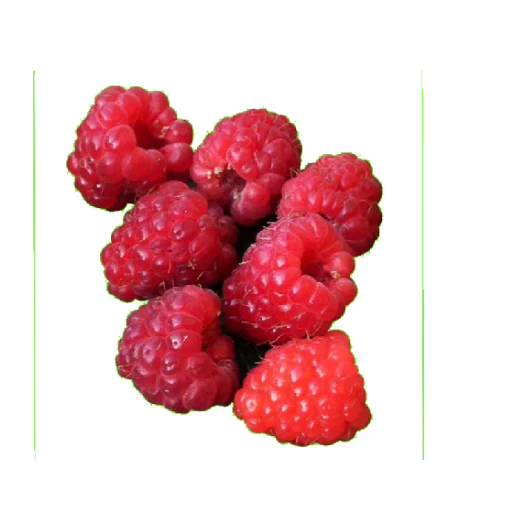 🍇 Стикер «Еда» для Telegram