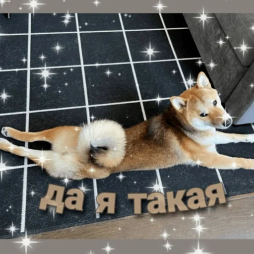 😌 Стикер «edison» для Telegram