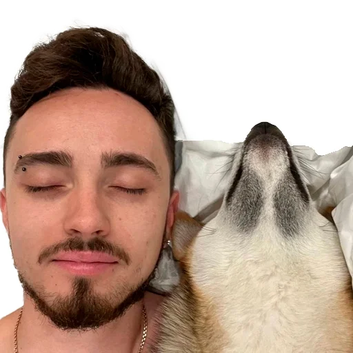 🐶 Стикер «EdPTS» для Telegram