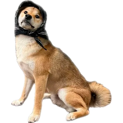 😎 Стикер «EdPTS» для Telegram