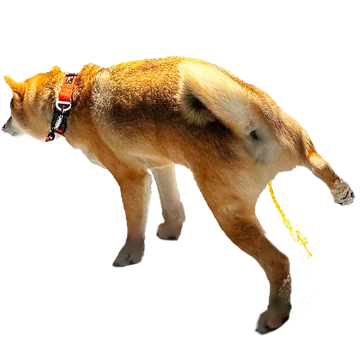 🦊 Стикер «EdPTS» для Telegram