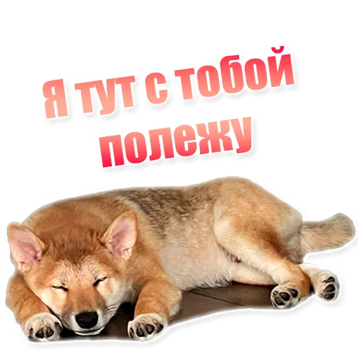 🐣 Стикер «EdPTS» для Telegram