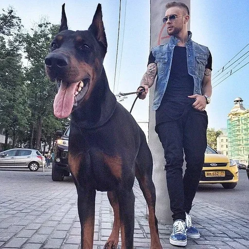 🌟 Стикер «Егор Крид» для Telegram