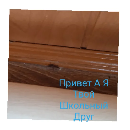 😄 Стикер «ЭЛПЭ» для Telegram