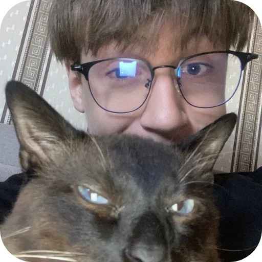 🐱 Стикер «Мамикс» для Telegram