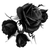 Стикер 51 𝐬𝐚𝐧𝐠𝐮𝐢𝐧𝐞 Fr