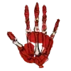 Стикер 56 𝐬𝐚𝐧𝐠𝐮𝐢𝐧𝐞 Fr