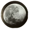 Стикер 38 𝐬𝐚𝐧𝐠𝐮𝐢𝐧𝐞 Fr