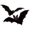 Стикер 32 𝐬𝐚𝐧𝐠𝐮𝐢𝐧𝐞 Fr