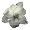 Стикер 31 𝐬𝐚𝐧𝐠𝐮𝐢𝐧𝐞 Fr