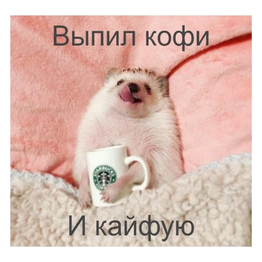 🦔 Стикер «Ежики» для Telegram