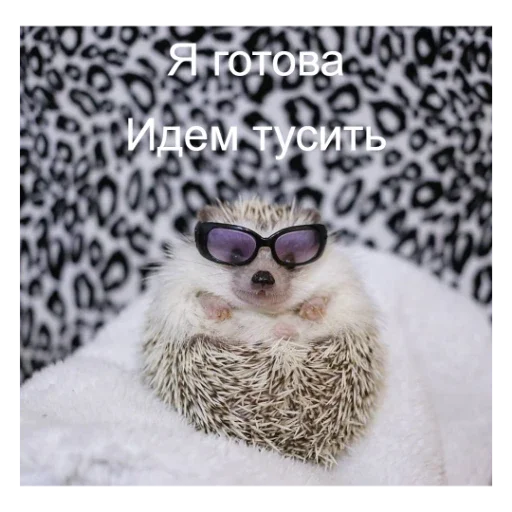 🕶 Стикер «Ежики» для Telegram