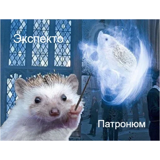 🦔 Стикер «Ежики» для Telegram