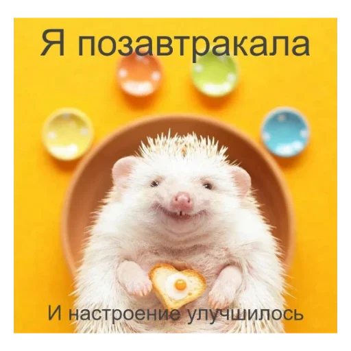 🥪 Стикер «Ежики» для Telegram