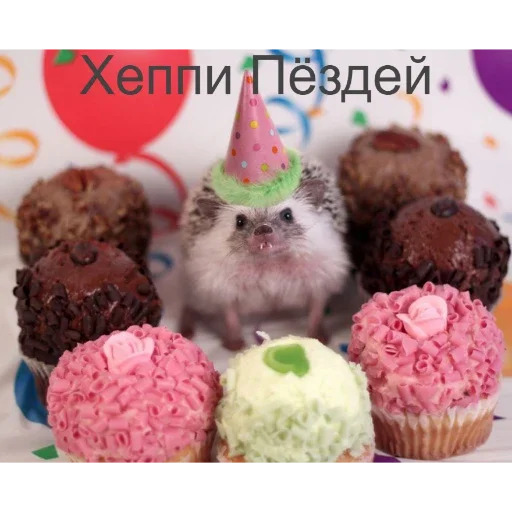 🎉 Стикер «Ежики» для Telegram