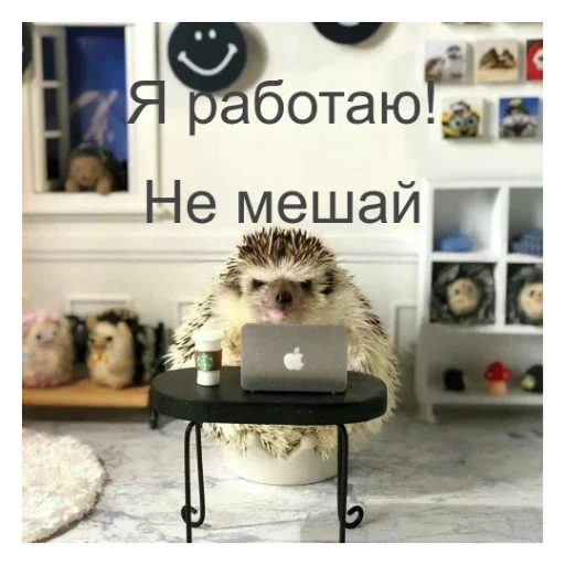 💻 Стикер «Ежики» для Telegram