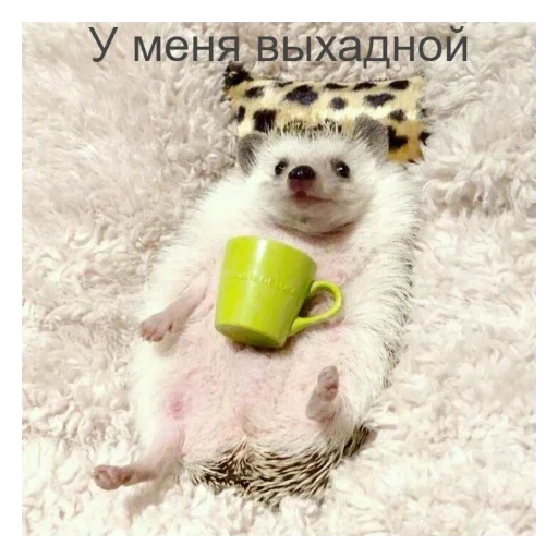 🦔 Стикер «Ежики» для Telegram
