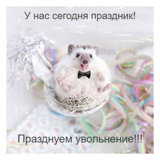 🦔 Стикер «Ежики» для Telegram