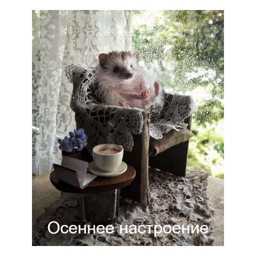 🍂 Стикер «Ежики» для Telegram