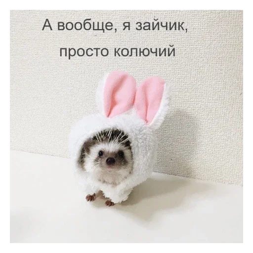 🐰 Стикер «Ежики» для Telegram
