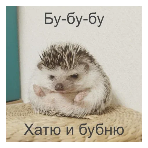 🦔 Стикер «Ежики» для Telegram
