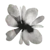 Стикер 15 𝐜𝐨𝐟𝐟𝐞𝐮𝐦 Fr