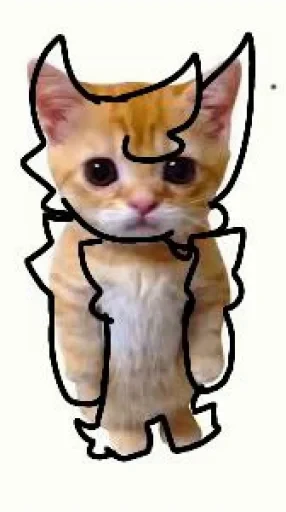 🤩 Стикер «El Gato» для Telegram