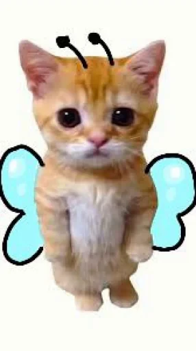 🤩 Стикер «El Gato» для Telegram