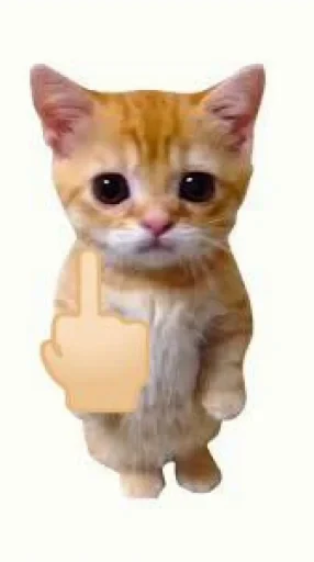 🤩 Стикер «El Gato» для Telegram