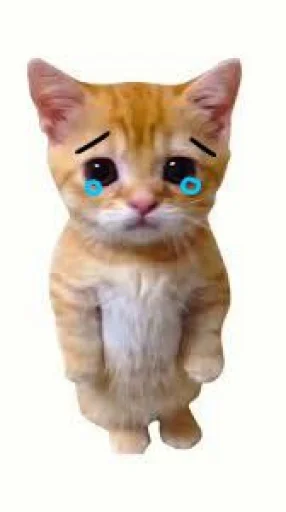 🤩 Стикер «El Gato» для Telegram