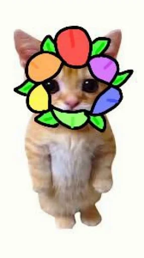 🤩 Стикер «El Gato» для Telegram