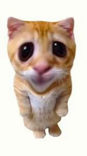🤩 Стикер «El Gato» для Telegram