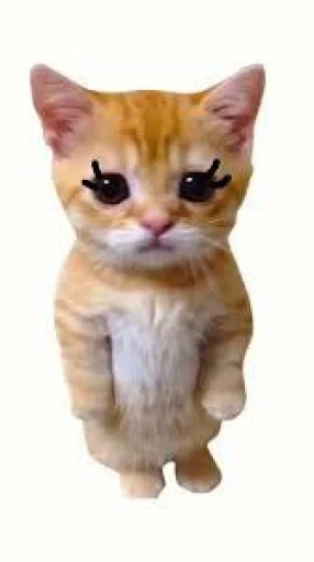 🤩 Стикер «El Gato» для Telegram