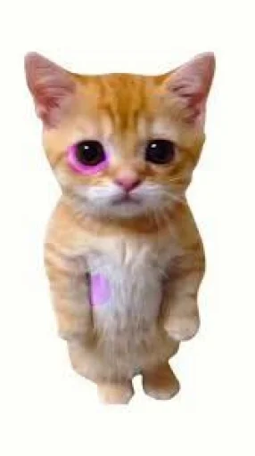 🤩 Стикер «El Gato» для Telegram