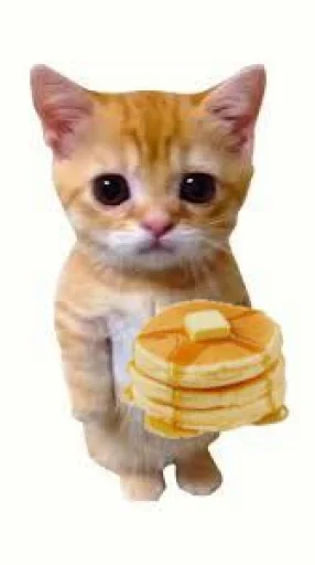 🤩 Стикер «El Gato» для Telegram