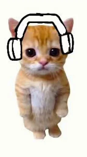 🤩 Стикер «El Gato» для Telegram