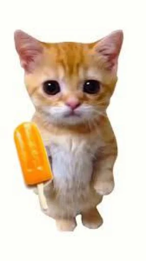 🤩 Стикер «El Gato» для Telegram