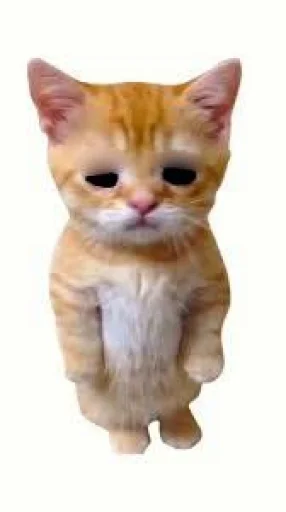🤩 Стикер «El Gato» для Telegram