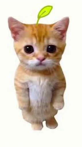 🤩 Стикер «El Gato» для Telegram