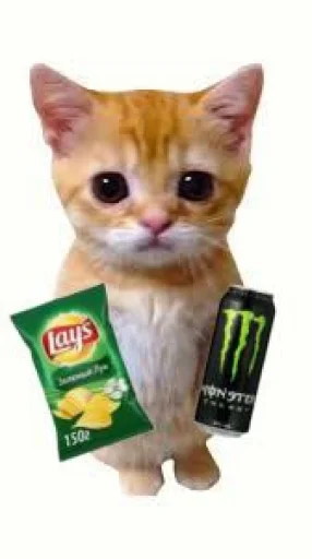 🤩 Стикер «El Gato» для Telegram