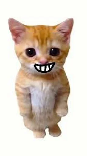 🤩 Стикер «El Gato» для Telegram