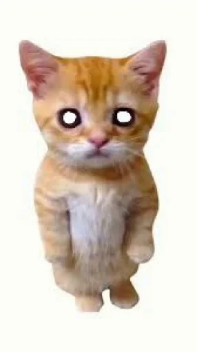 🤩 Стикер «El Gato» для Telegram